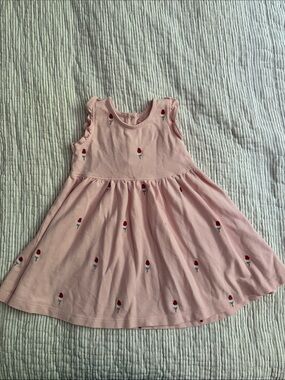 Pink Chicken Pink Sleeveless Ice Cream Embroidered Dress